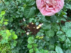 -人民公园(罗湖区)