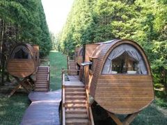 -黄海国家森林公园