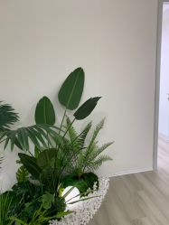 -HEYAN荷妍专业脱毛连锁机构