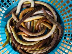 -新湛拱(兰埔路店)