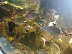 -福州罗源湾海洋世界旅游区