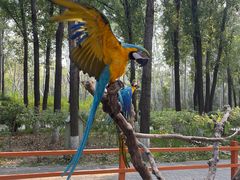 -北京野生动物园