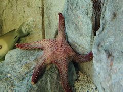 -欢乐海岸海洋奇梦馆
