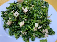 -鑫福楼农家菜