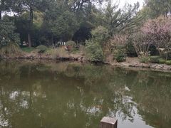 -汇龙潭