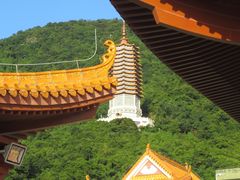 -深圳仙湖植物园
