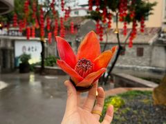 -德云居