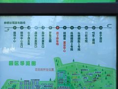 -林栖谷森林康养度假区