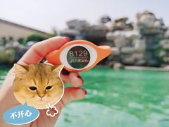 -仁爱团泊湖温泉中心