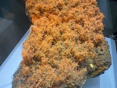 -湖南省地质博物馆