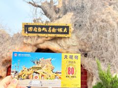 -大槐树寻根祭祖园