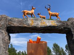 -野鸭湖国家湿地公园