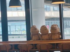 -MT麦如麦立送(五矿live店)