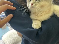 -拜鲁耶动物诊疗中心·宠家动物医院