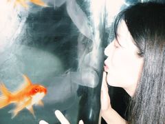 -西安曲江海洋极地公园