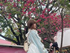 -翠湖公园