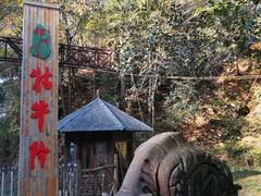 -祁门牯牛降观音堂风景区