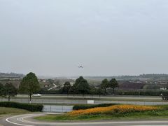 -空港花田景区
