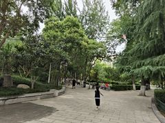-莲湖公园