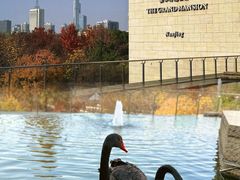 -行者书屋大堂吧 ·下午茶(南京圣和府邸酒店)