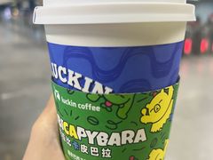 -瑞幸咖啡(太阳CITY店)