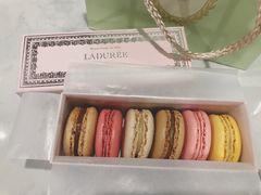 -Pierre Marcolini(德基广场店)