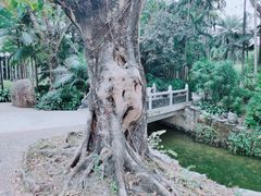 -荔枝公园(福田区)