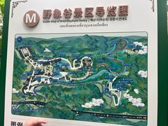 -野象谷景区