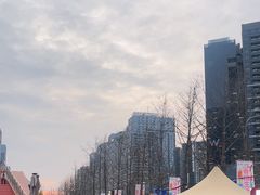 -合景·悠方(成都店)