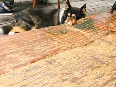 -VESH COFFEE(定西路店)