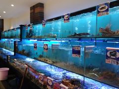 水产区-南海渔家•海鲜•正宗海南菜(海棠湾店)