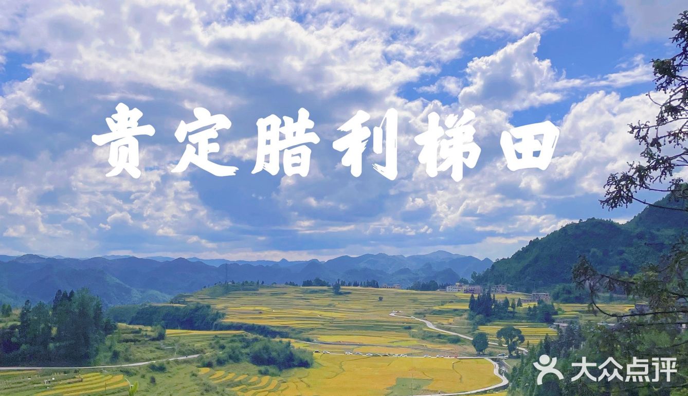 贵阳周边限定秋景/贵定腊利绝美梯田