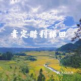 贵阳周边限定秋景/贵定腊利绝美梯田
