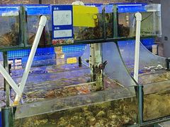 -友强·22年特色海鲜大排档·闽菜(厦门美食地标店)