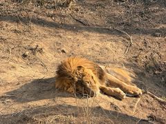 -石家庄市动物园