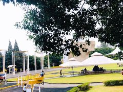 景点-东方绿舟景区