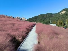 -昆嵛山石门里景区
