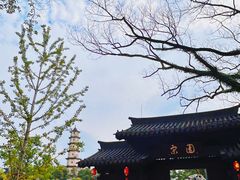 -江心屿景区