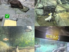 -福州罗源湾海洋世界旅游区