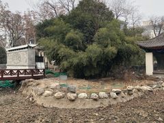 -莲湖公园