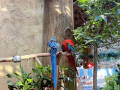 -杭州开元森泊度假乐园