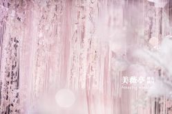 点击看大图 -美薇亭婚礼顾问