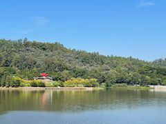 -番禺大夫山森林公园