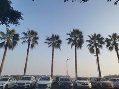 -大湾区中央湿地公园-十九涌