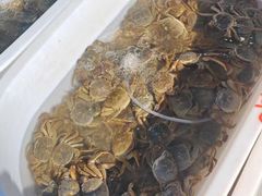 -上海龙吴水胜海发市场