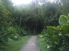 -福建鲤鱼洲酒店