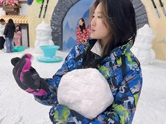 -世界之窗阿尔卑斯冰雪世界