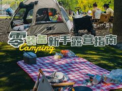 -上海共青森林公园