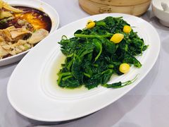 银杏豌豆尖-眉州东坡(中关村店)