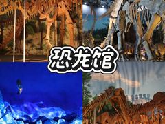 -中国西峡恐龙遗迹园
